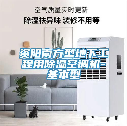 資陽南方型地下工程用除濕空調(diào)機(jī)-基本型