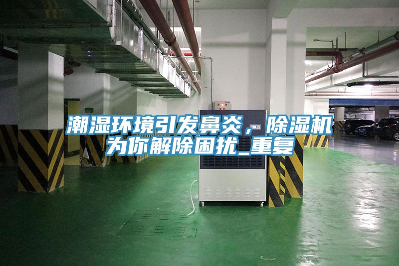 潮濕環(huán)境引發(fā)鼻炎，除濕機為你解除困擾_重復(fù)
