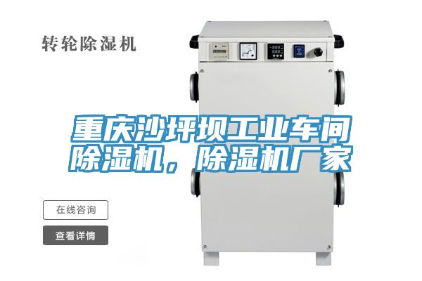 重慶沙坪壩工業(yè)車間除濕機，除濕機廠家
