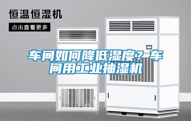 車間如何降低濕度？車間用工業(yè)抽濕機(jī)