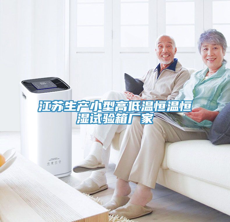 江蘇生產小型高低溫恒溫恒濕試驗箱廠家