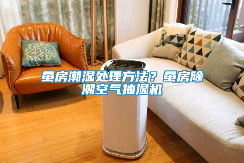 蠶房潮濕處理方法？蠶房除潮空氣抽濕機(jī)
