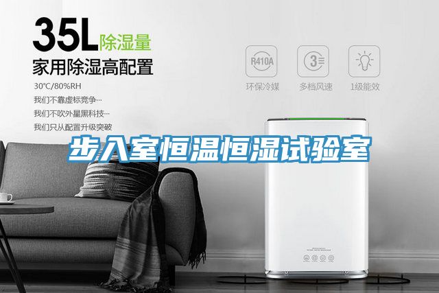 步入室恒溫恒濕試驗(yàn)室