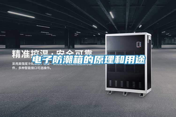 電子防潮箱的原理和用途