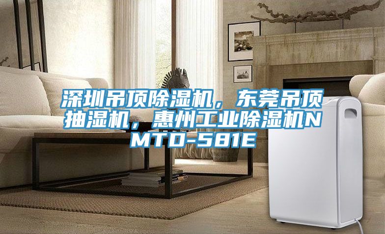 深圳吊頂除濕機(jī)，東莞吊頂抽濕機(jī)，惠州工業(yè)除濕機(jī)NMTD-581E