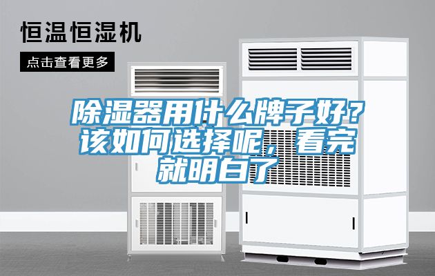 除濕器用什么牌子好？該如何選擇呢，看完就明白了