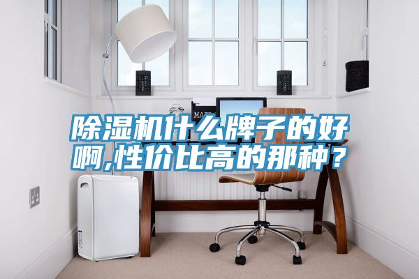 除濕機(jī)什么牌子的好啊,性價(jià)比高的那種？