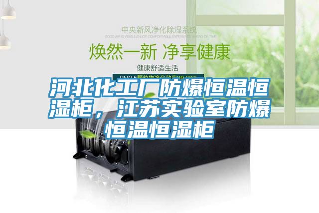 河北化工廠防爆恒溫恒濕柜，江蘇實驗室防爆恒溫恒濕柜