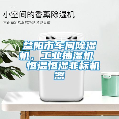 益陽(yáng)市車(chē)間除濕機(jī)，工業(yè)抽濕機(jī)  恒溫恒濕非標(biāo)機(jī)器
