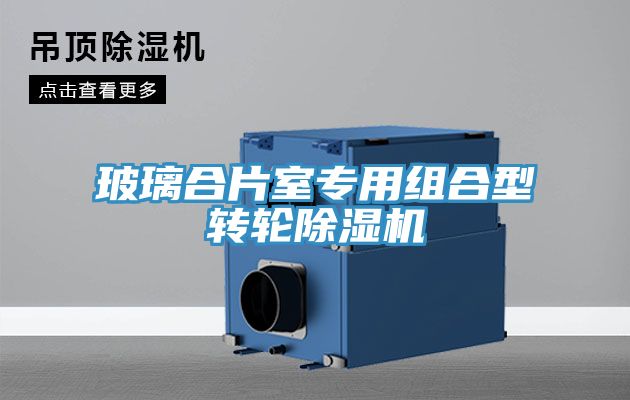 玻璃合片室專用組合型轉(zhuǎn)輪除濕機(jī)