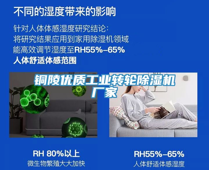 銅陵優(yōu)質(zhì)工業(yè)轉(zhuǎn)輪除濕機廠家
