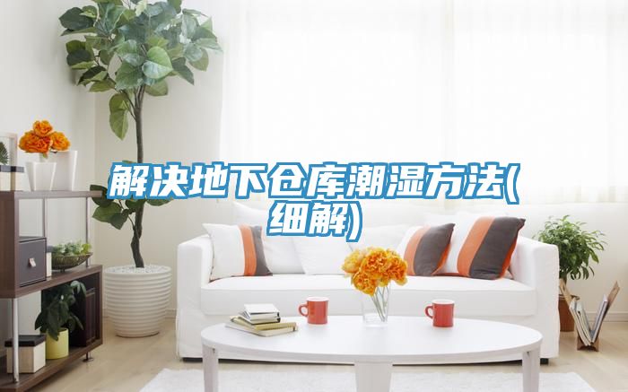 解決地下倉(cāng)庫(kù)潮濕方法(細(xì)解)