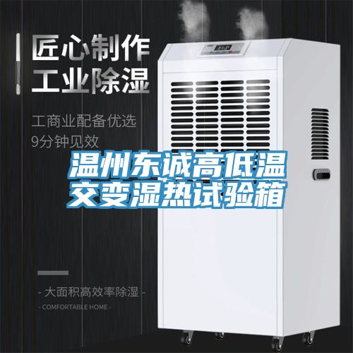 溫州東誠高低溫交變濕熱試驗(yàn)箱