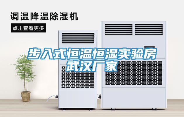 步入式恒溫恒濕實(shí)驗(yàn)房武漢廠家