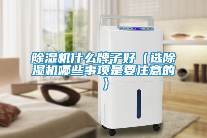 除濕機(jī)什么牌子好（選除濕機(jī)哪些事項(xiàng)是要注意的）