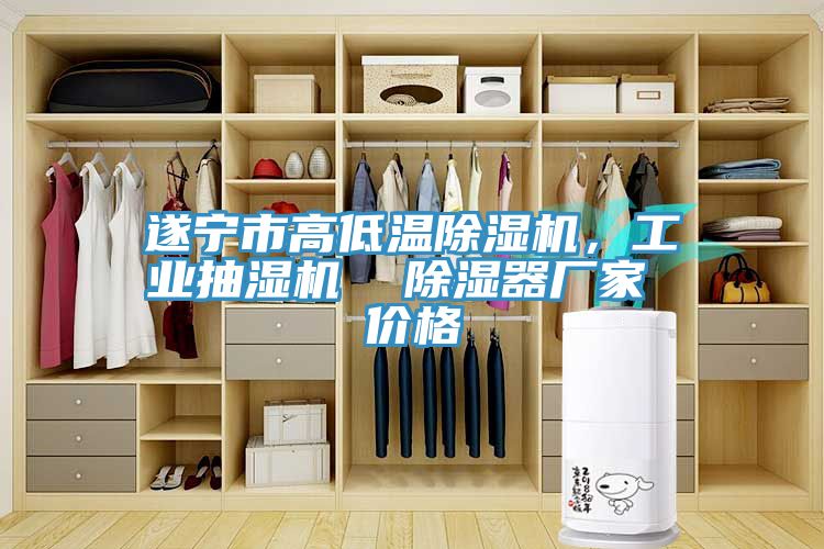 遂寧市高低溫除濕機，工業(yè)抽濕機  除濕器廠家 價格