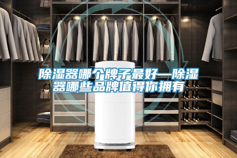 除濕器哪個牌子最好—除濕器哪些品牌值得你擁有