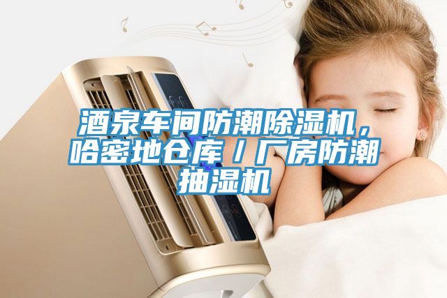 酒泉車(chē)間防潮除濕機(jī)，哈密地倉(cāng)庫(kù)／廠房防潮抽濕機(jī)