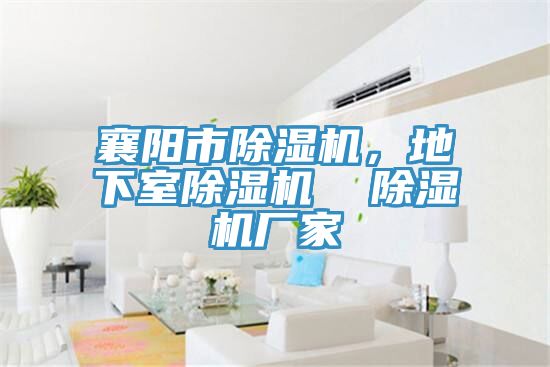 襄陽市除濕機，地下室除濕機  除濕機廠家