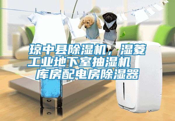 瓊中縣除濕機(jī)，濕菱工業(yè)地下室抽濕機(jī)  庫房配電房除濕器