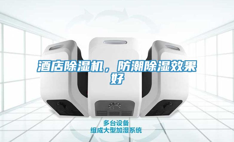 酒店除濕機(jī)，防潮除濕效果好