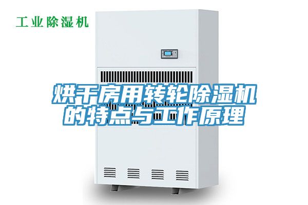 烘干房用轉(zhuǎn)輪除濕機的特點與工作原理