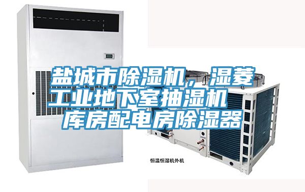 鹽城市除濕機(jī)，濕菱工業(yè)地下室抽濕機(jī)  庫(kù)房配電房除濕器