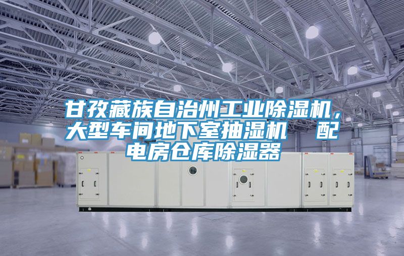 甘孜藏族自治州工業(yè)除濕機，大型車間地下室抽濕機  配電房倉庫除濕器