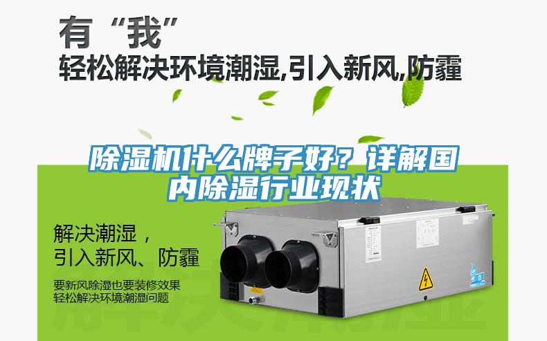 除濕機(jī)什么牌子好？詳解國內(nèi)除濕行業(yè)現(xiàn)狀