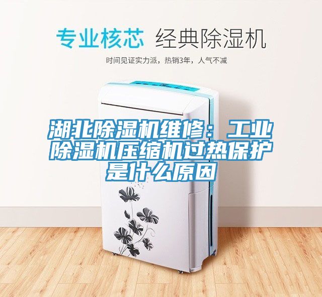 湖北除濕機(jī)維修：工業(yè)除濕機(jī)壓縮機(jī)過熱保護(hù)是什么原因
