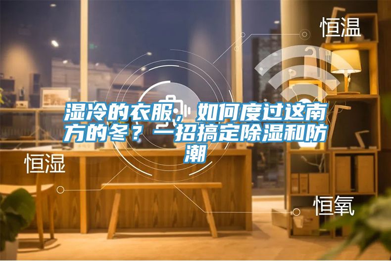 濕冷的衣服，如何度過這南方的冬？一招搞定除濕和防潮