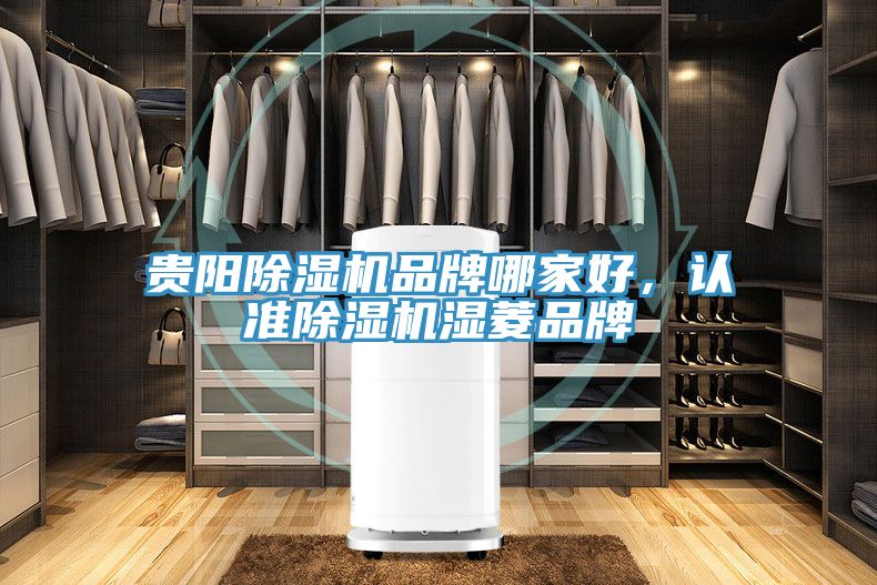 貴陽除濕機(jī)品牌哪家好，認(rèn)準(zhǔn)除濕機(jī)濕菱品牌