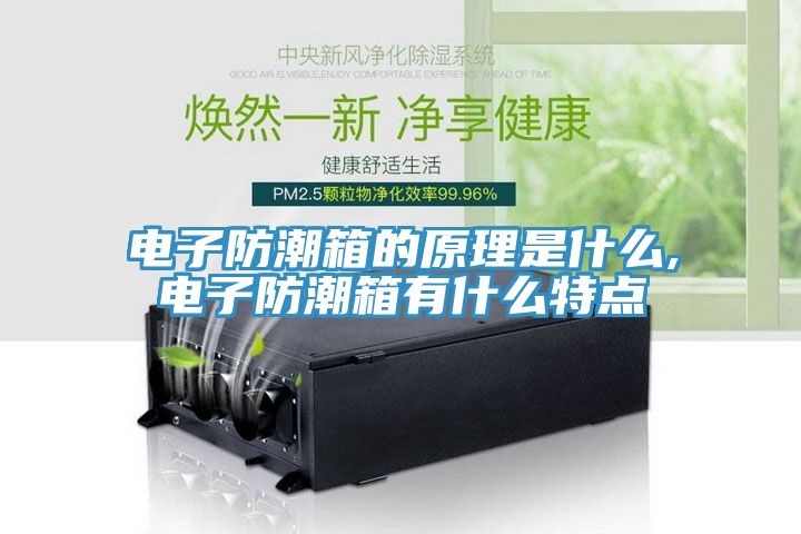 電子防潮箱的原理是什么,電子防潮箱有什么特點