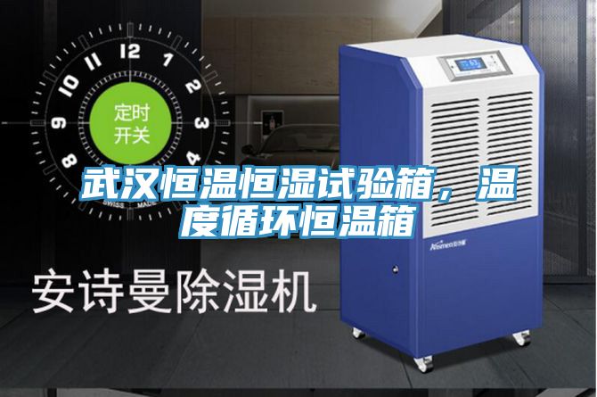 武漢恒溫恒濕試驗箱，溫度循環(huán)恒溫箱