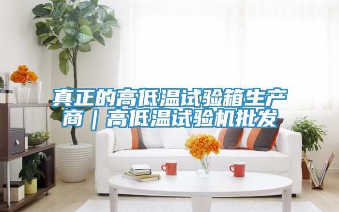 真正的高低溫試驗(yàn)箱生產(chǎn)商｜高低溫試驗(yàn)機(jī)批發(fā)