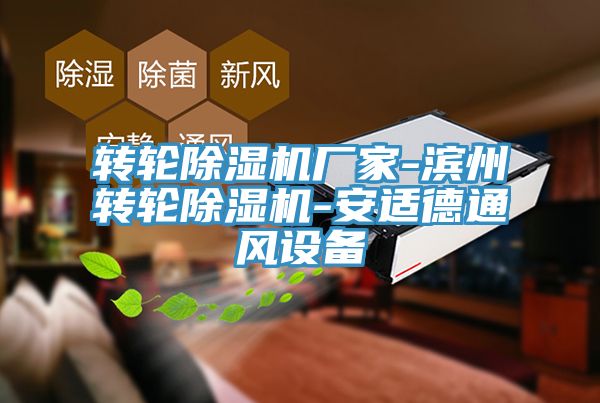 轉(zhuǎn)輪除濕機廠家-濱州轉(zhuǎn)輪除濕機-安適德通風(fēng)設(shè)備