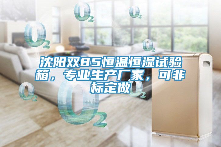 沈陽雙85恒溫恒濕試驗(yàn)箱，專業(yè)生產(chǎn)廠家，可非標(biāo)定做
