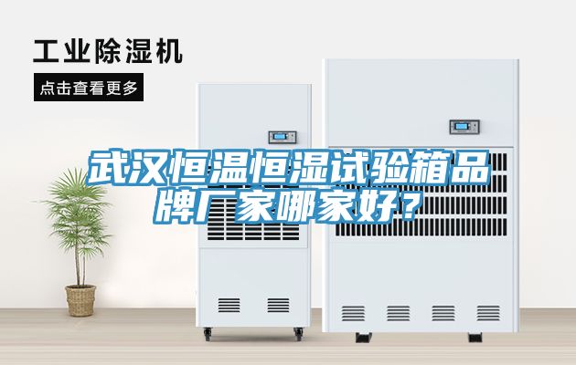 武漢恒溫恒濕試驗(yàn)箱品牌廠家哪家好？