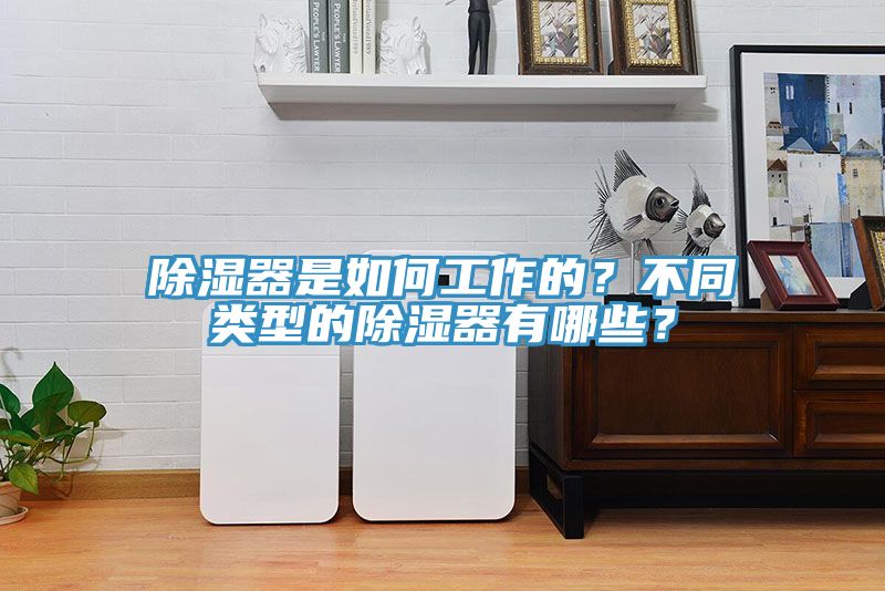 除濕器是如何工作的？不同類型的除濕器有哪些？