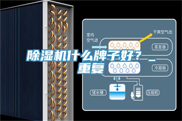 除濕機(jī)什么牌子好？_重復(fù)