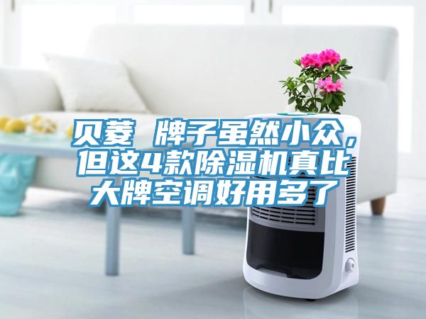 貝菱 牌子雖然小眾，但這4款除濕機真比大牌空調好用多了