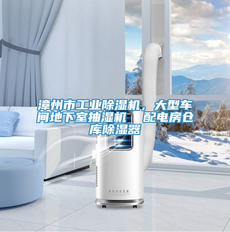 漳州市工業(yè)除濕機(jī)，大型車間地下室抽濕機(jī)  配電房倉庫除濕器