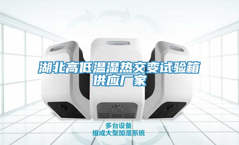 湖北高低溫濕熱交變?cè)囼?yàn)箱供應(yīng)廠家