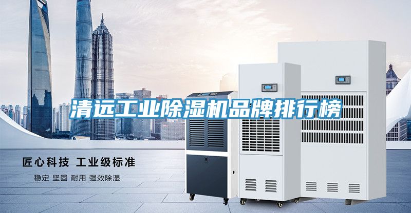 清遠(yuǎn)工業(yè)除濕機(jī)品牌排行榜