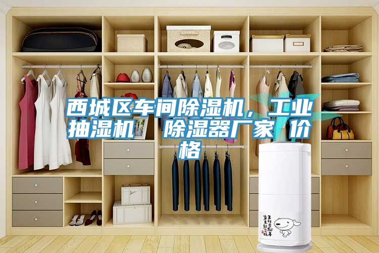 西城區(qū)車(chē)間除濕機(jī)，工業(yè)抽濕機(jī)  除濕器廠家 價(jià)格