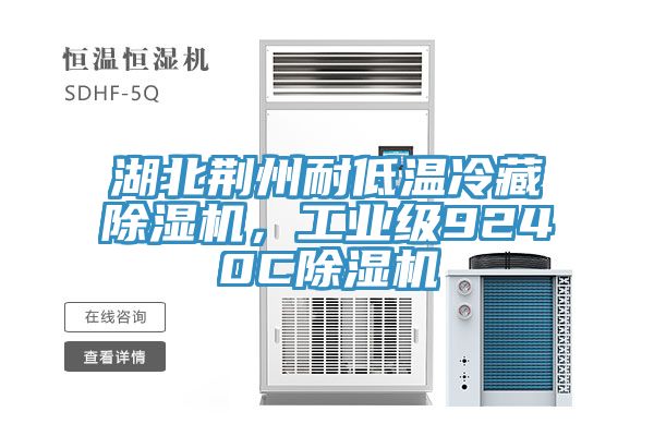 湖北荊州耐低溫冷藏除濕機(jī)，工業(yè)級(jí)9240C除濕機(jī)