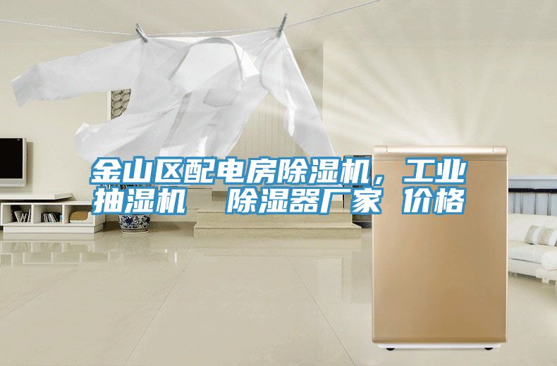 金山區(qū)配電房除濕機，工業(yè)抽濕機  除濕器廠家 價格