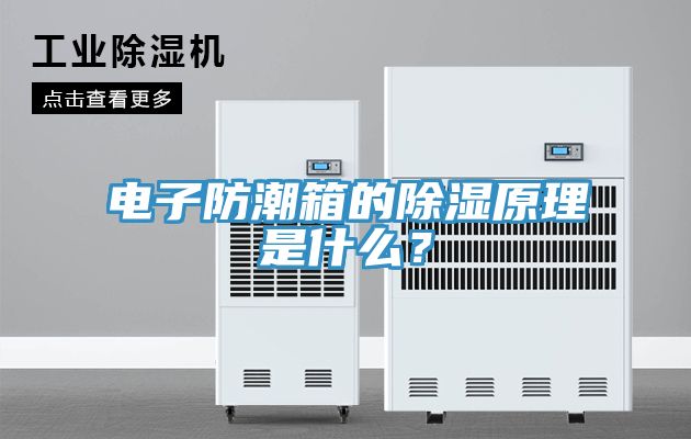電子防潮箱的除濕原理是什么？