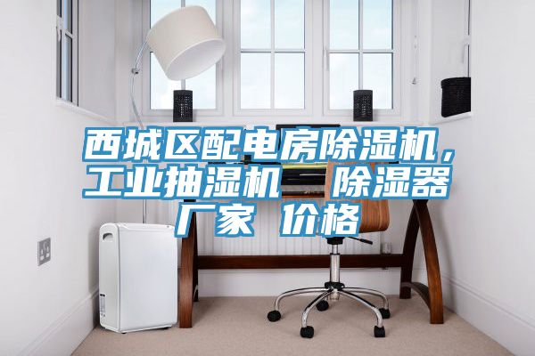 西城區(qū)配電房除濕機(jī)，工業(yè)抽濕機(jī)  除濕器廠家 價(jià)格