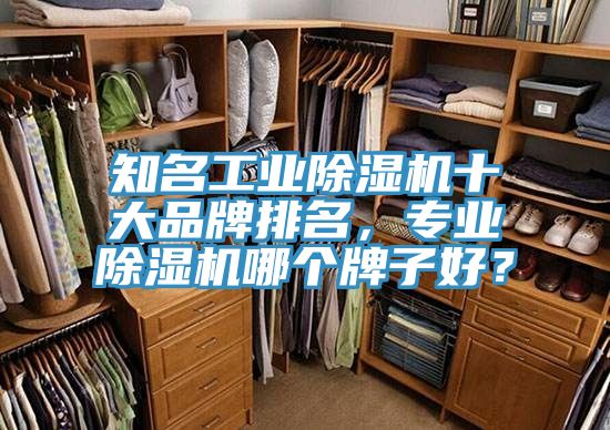 知名工業(yè)除濕機(jī)十大品牌排名，專業(yè)除濕機(jī)哪個牌子好？